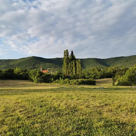 Zsonglak Vendeghaz Διαμέρισμα Kovagoszolos