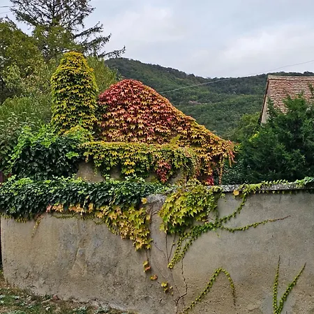 Zsonglak Vendeghaz Διαμέρισμα Kovagoszolos